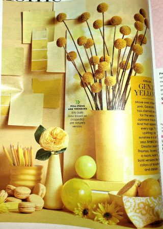 Inspiration Color palette